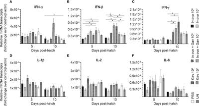 In Ovo and Oral Administration of Probiotic Lactobacilli Modulate Cell- and Antibody-Mediated Immune Responses in Newly Hatched Chicks